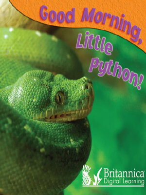 cover image of Good Morning, Little Python!